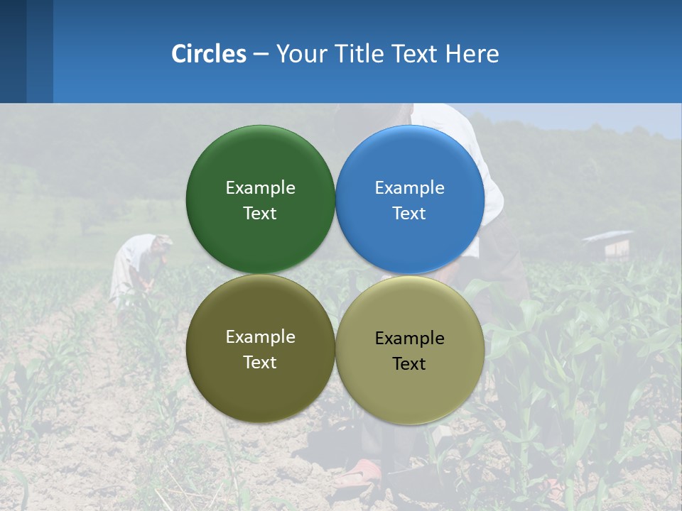 Condition Home Unit PowerPoint Template