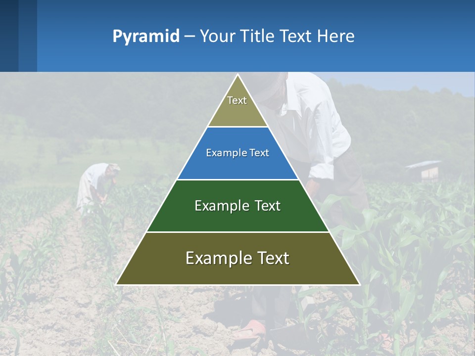 Condition Home Unit PowerPoint Template