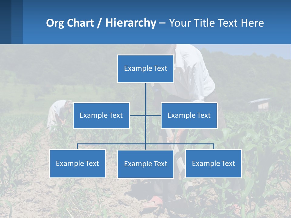 Condition Home Unit PowerPoint Template
