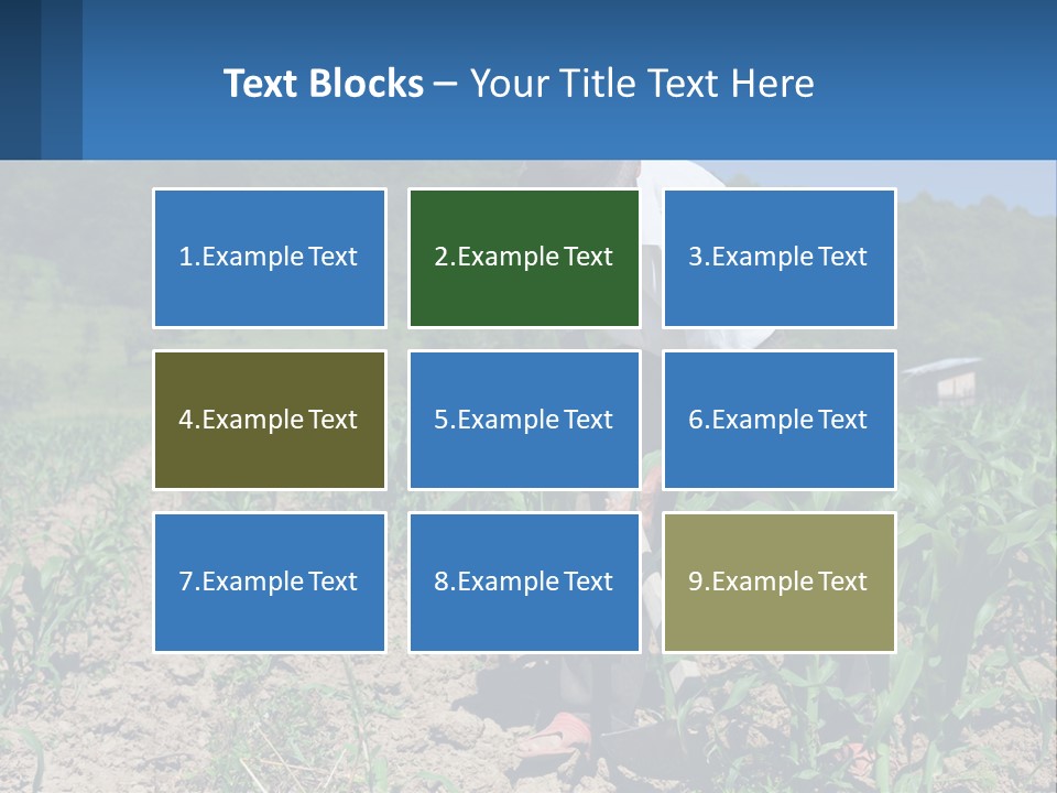 Condition Home Unit PowerPoint Template