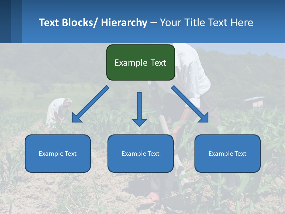 Condition Home Unit PowerPoint Template