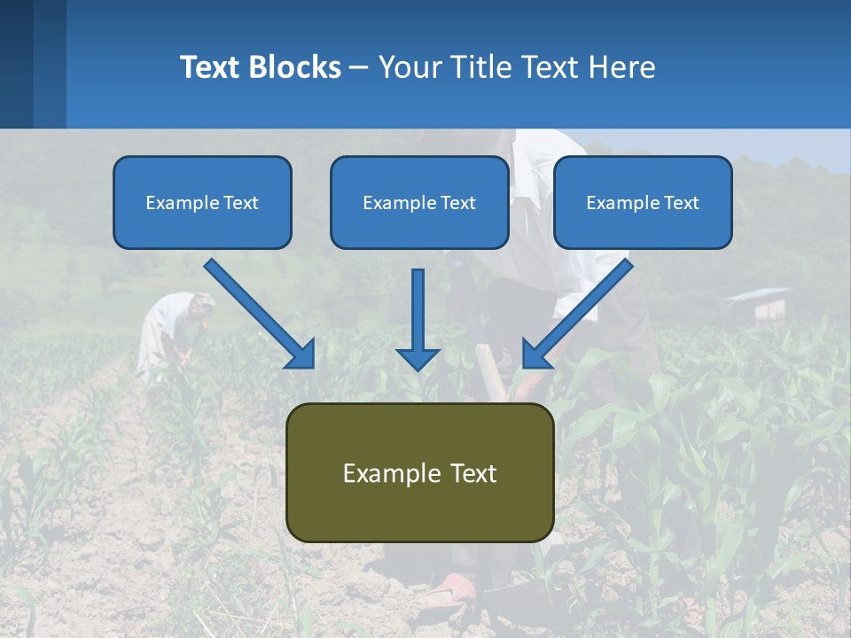 Condition Home Unit PowerPoint Template