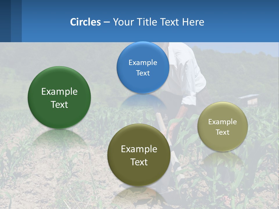 Condition Home Unit PowerPoint Template