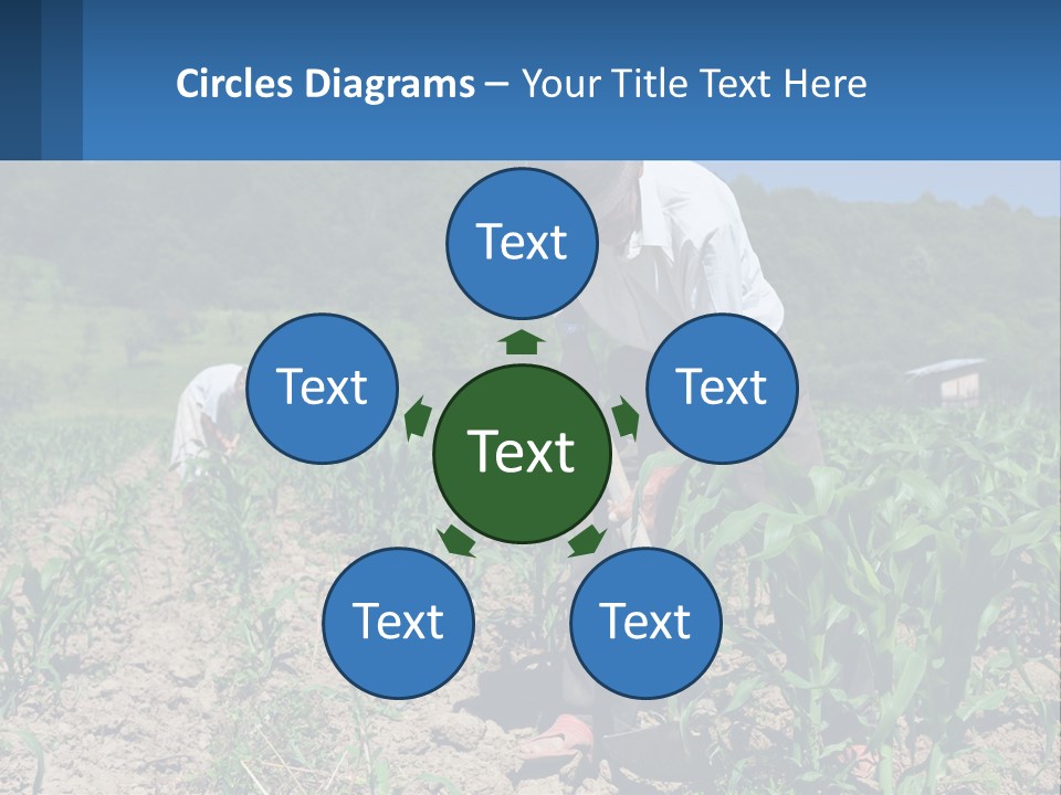Condition Home Unit PowerPoint Template