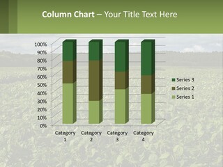 Heat Energy Cooling PowerPoint Template