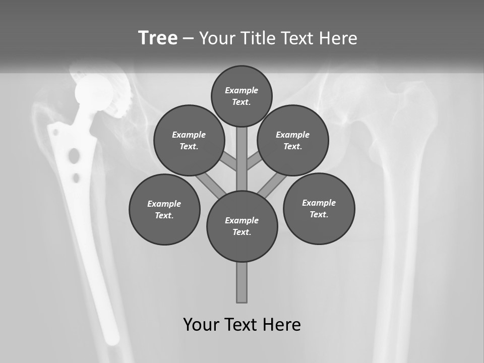 House Supply Unit PowerPoint Template
