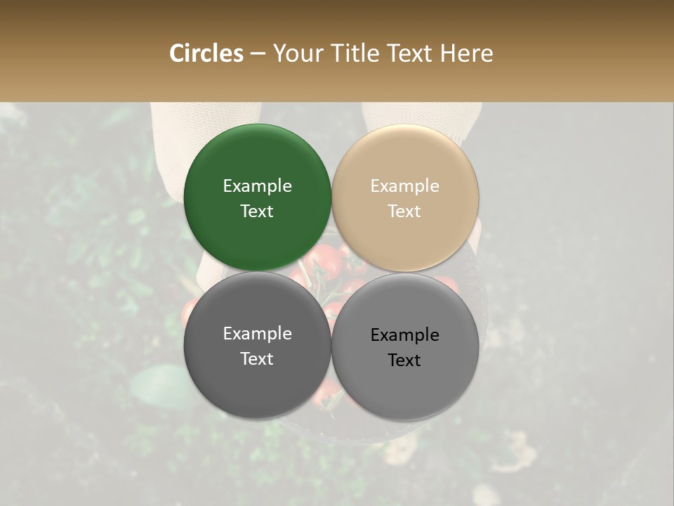 Cool Temperature Power PowerPoint Template