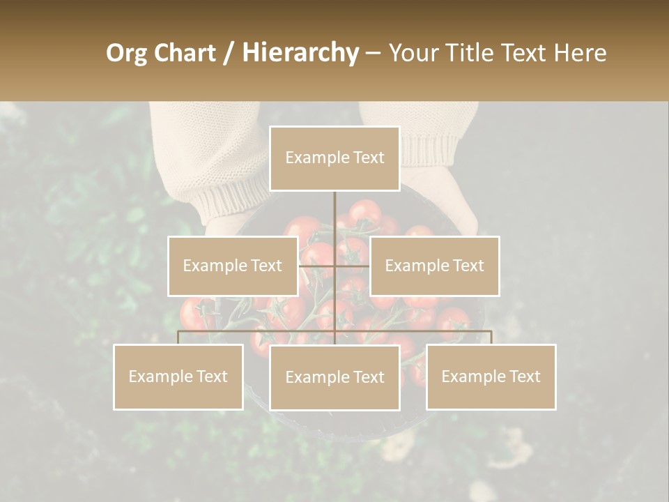 Cool Temperature Power PowerPoint Template