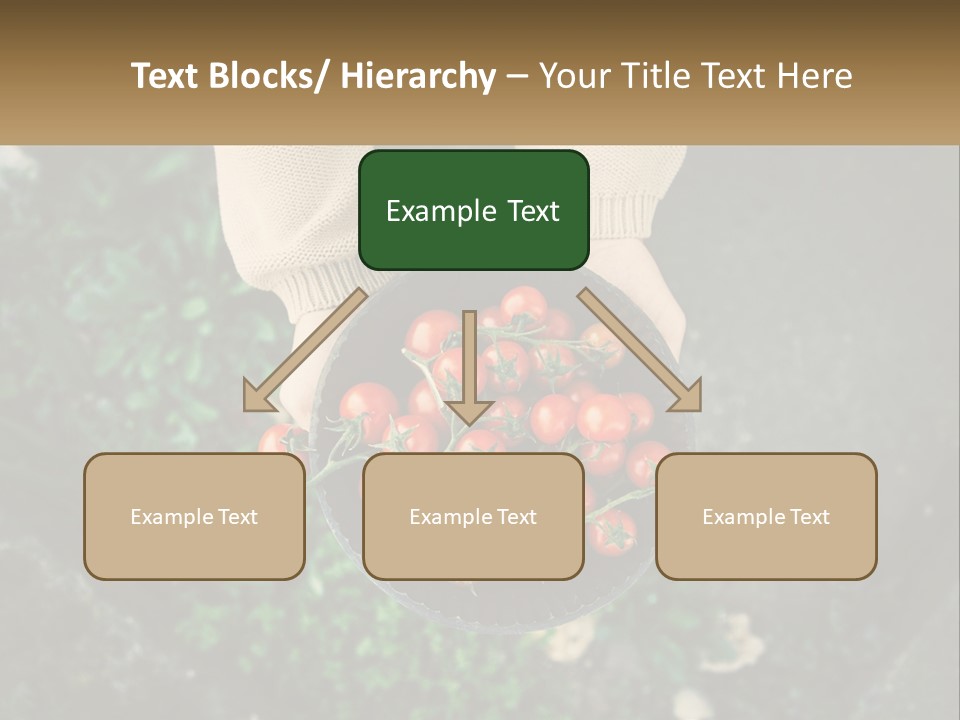 Cool Temperature Power PowerPoint Template