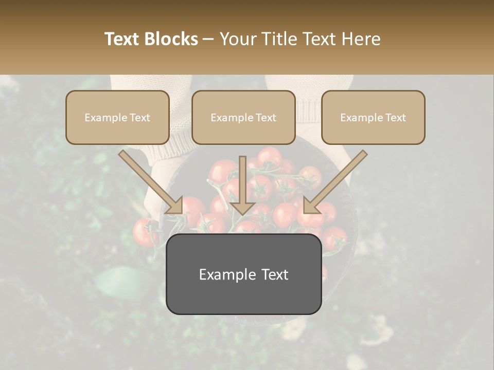 Cool Temperature Power PowerPoint Template
