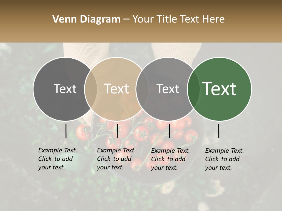 Cool Temperature Power PowerPoint Template