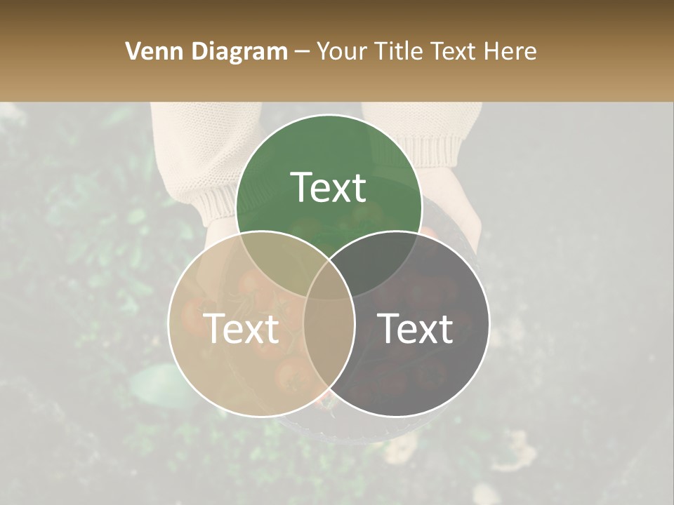 Cool Temperature Power PowerPoint Template