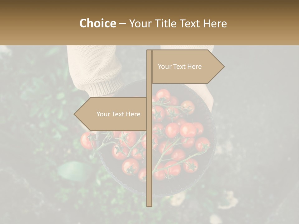 Cool Temperature Power PowerPoint Template