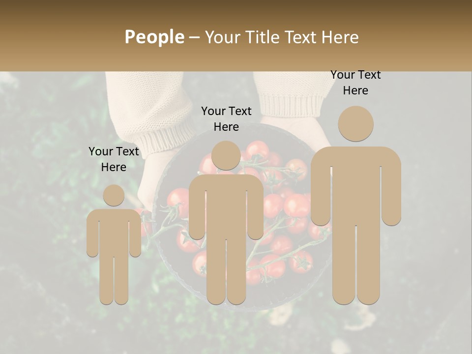 Cool Temperature Power PowerPoint Template