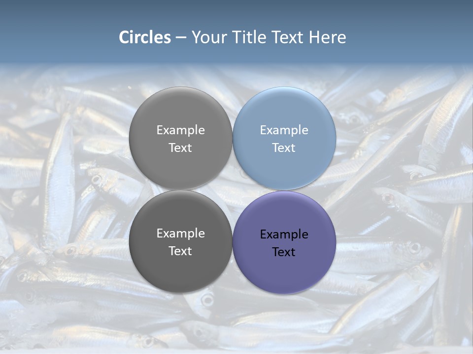 Switch Heat Home PowerPoint Template