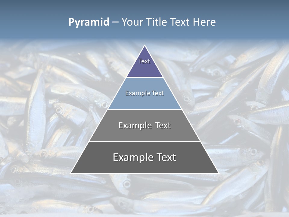 Switch Heat Home PowerPoint Template