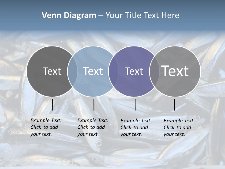 Switch Heat Home PowerPoint Template