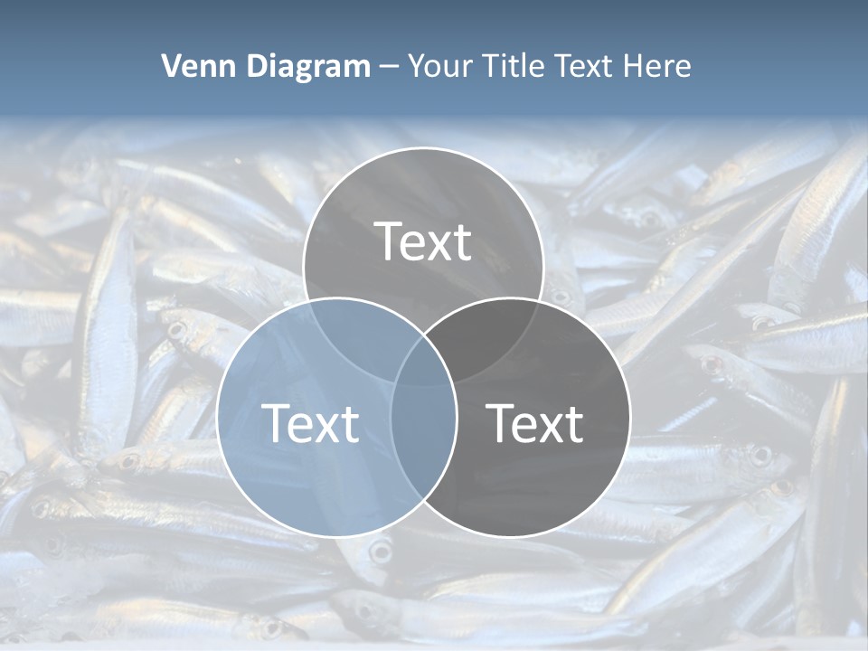 Switch Heat Home PowerPoint Template
