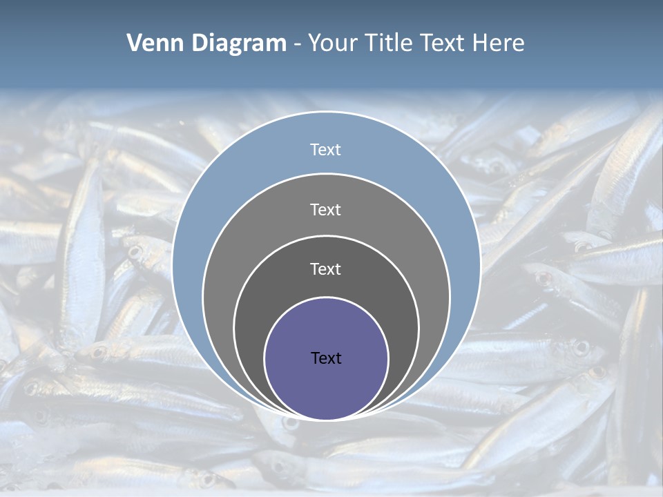 Switch Heat Home PowerPoint Template