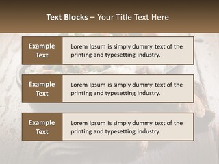 House Unit Cold PowerPoint Template
