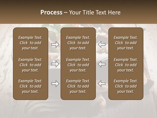 House Unit Cold PowerPoint Template