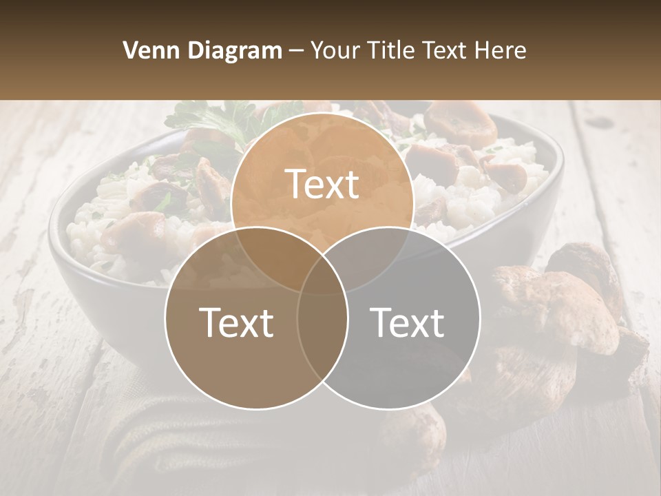 House Unit Cold PowerPoint Template