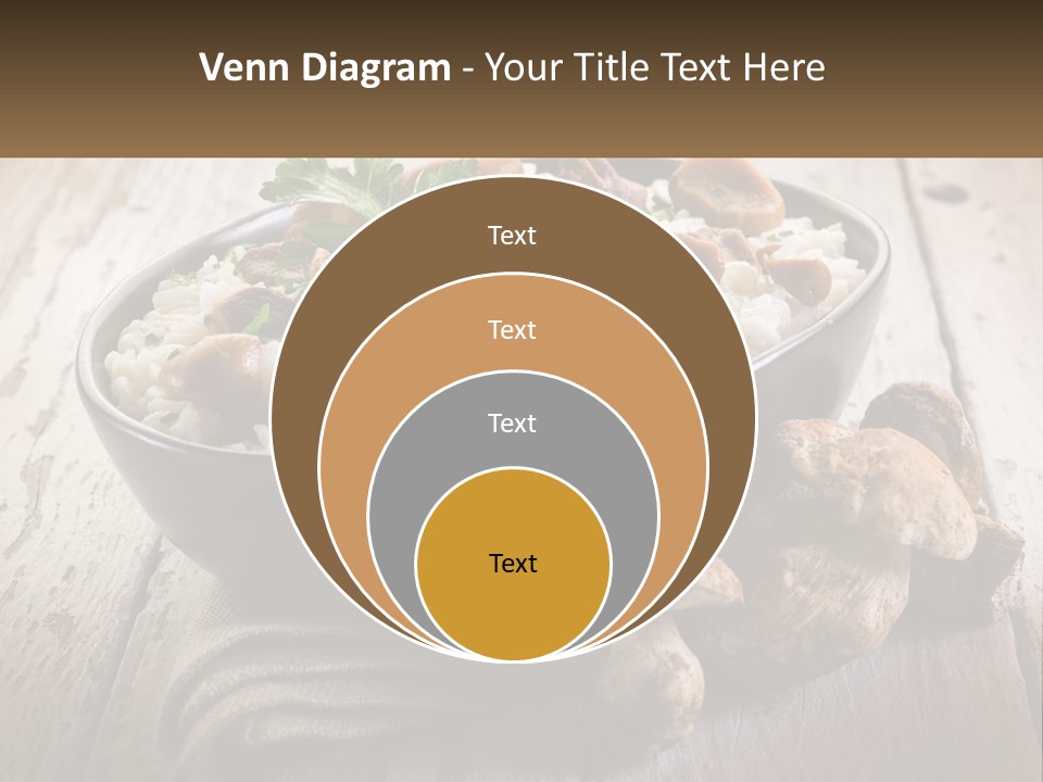 House Unit Cold PowerPoint Template