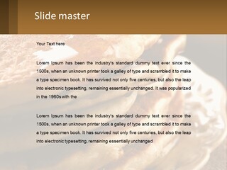 Power Temperature Condition PowerPoint Template