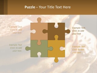 Power Temperature Condition PowerPoint Template