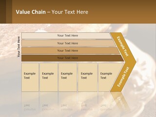 Power Temperature Condition PowerPoint Template