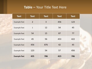 Power Temperature Condition PowerPoint Template