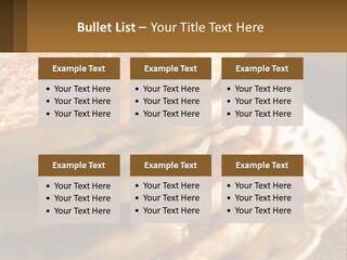 Power Temperature Condition PowerPoint Template