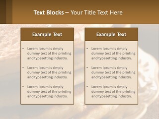 Power Temperature Condition PowerPoint Template