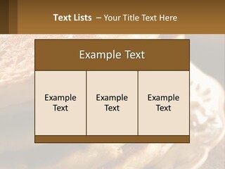 Power Temperature Condition PowerPoint Template