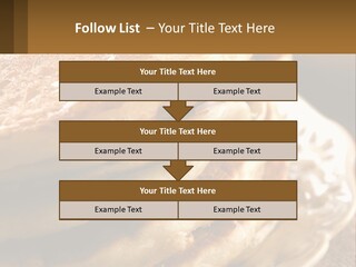 Power Temperature Condition PowerPoint Template