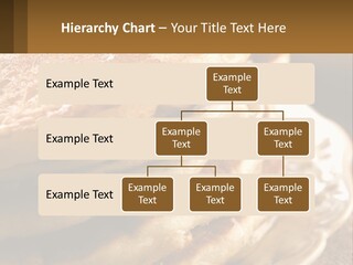 Power Temperature Condition PowerPoint Template