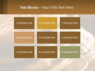 Power Temperature Condition PowerPoint Template