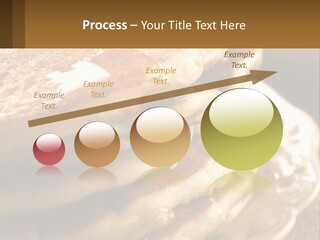 Power Temperature Condition PowerPoint Template