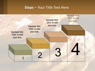 Power Temperature Condition PowerPoint Template