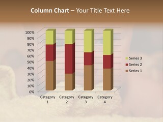 House Industry Cold PowerPoint Template