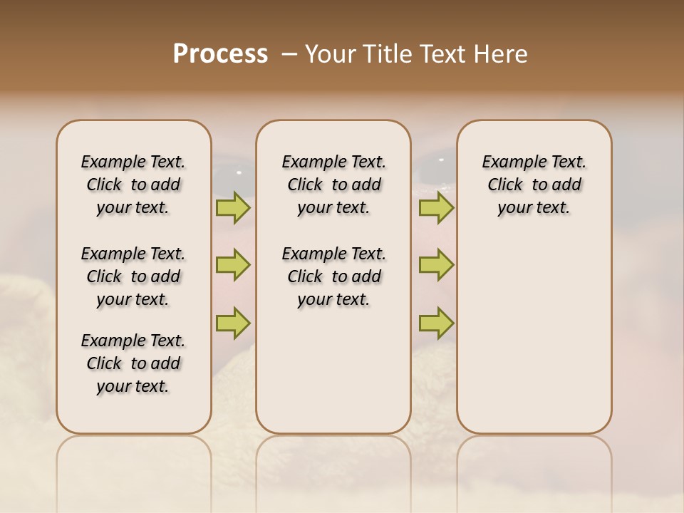 House Industry Cold PowerPoint Template