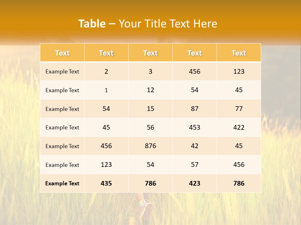 Condition Power Conditioner PowerPoint Template