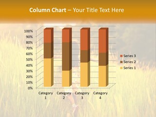 Condition Power Conditioner PowerPoint Template