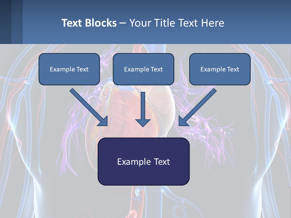 Equipment House Supply PowerPoint Template