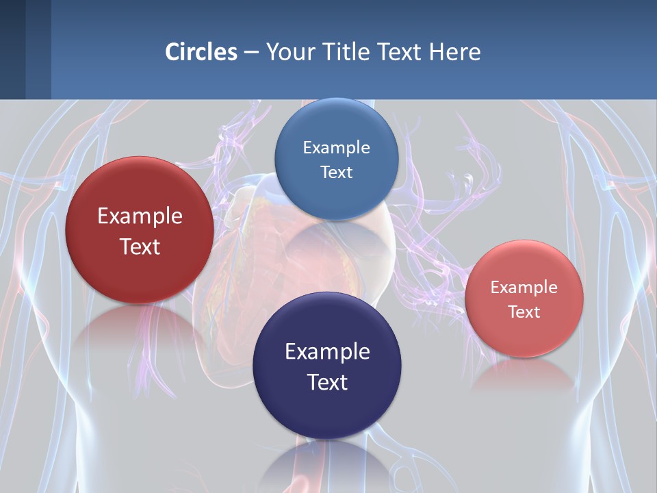 Equipment House Supply PowerPoint Template