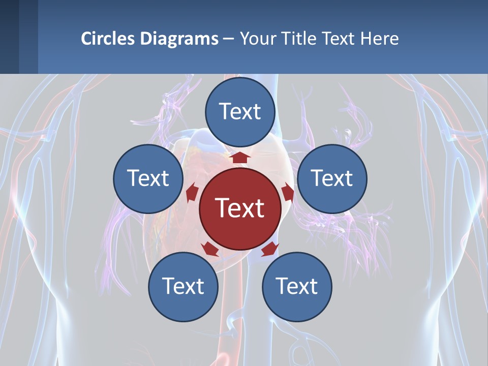 Equipment House Supply PowerPoint Template