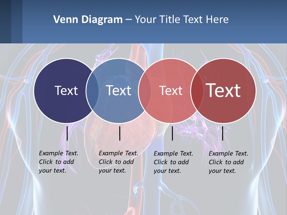 Equipment House Supply PowerPoint Template