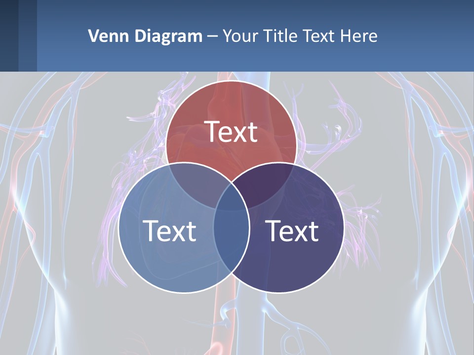 Equipment House Supply PowerPoint Template