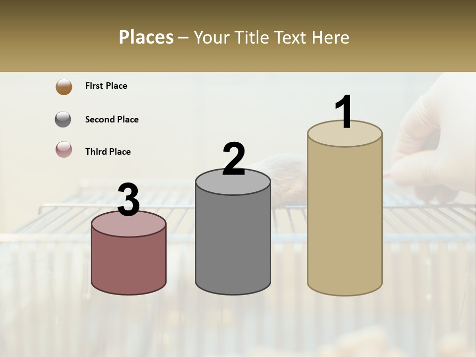 System Supply Remote PowerPoint Template