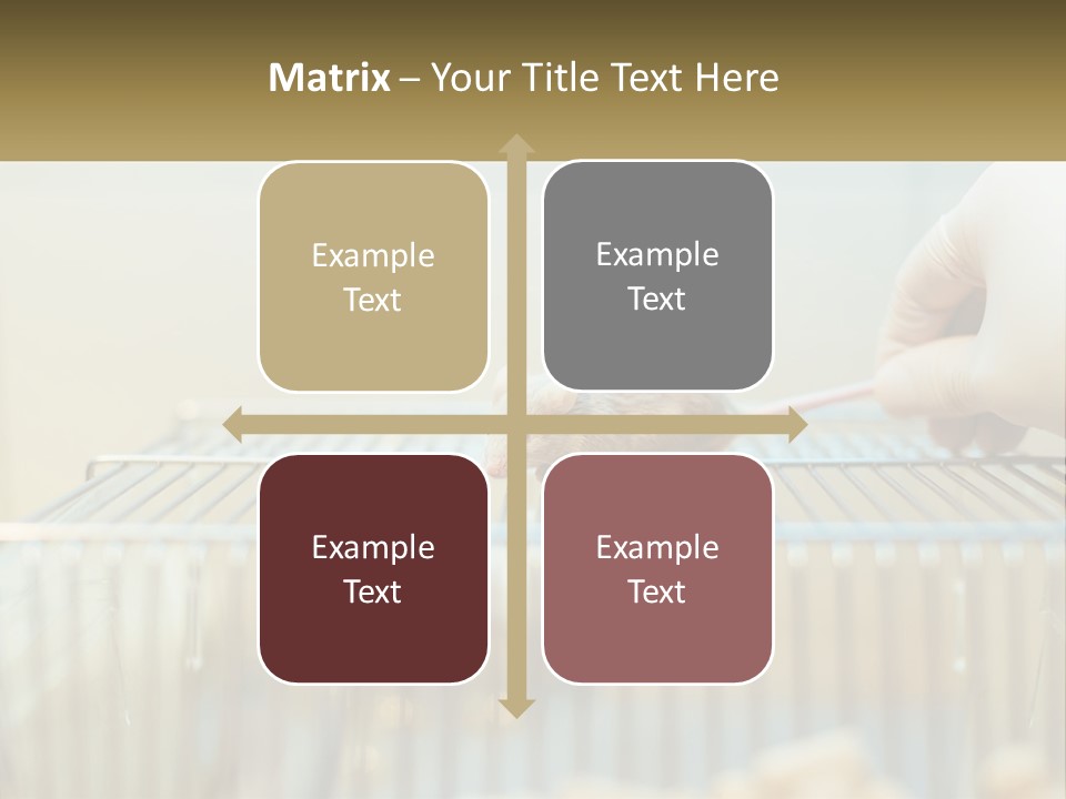 System Supply Remote PowerPoint Template